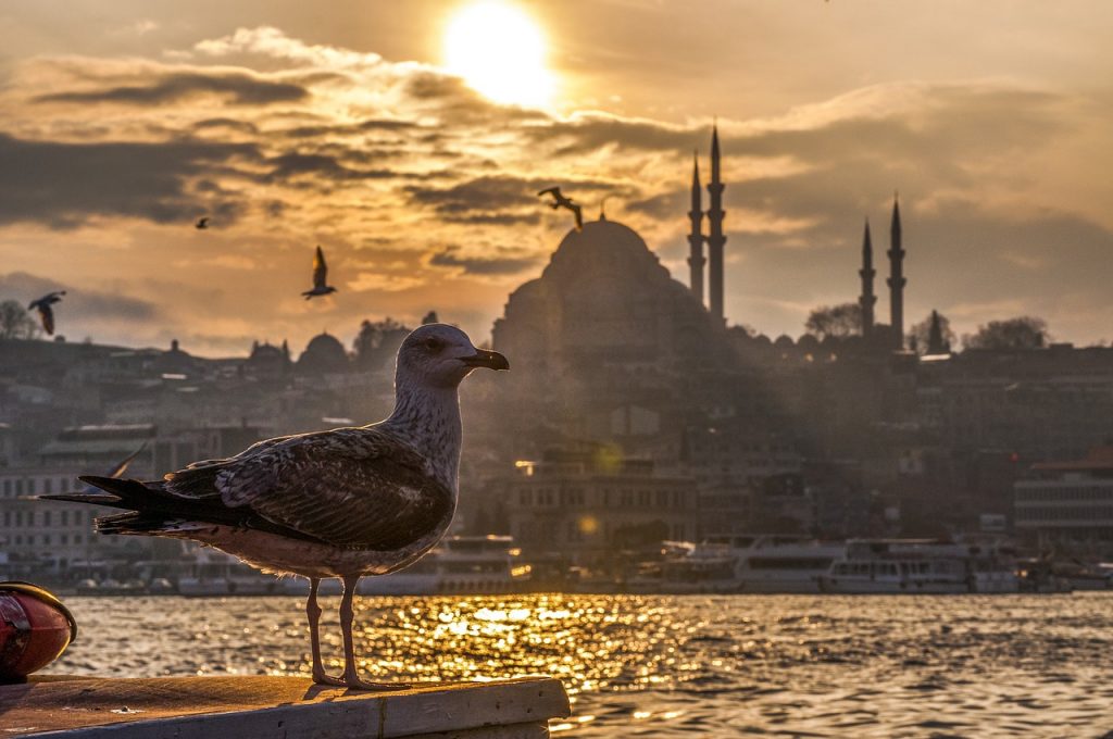 3 изживявания в Истанбул, които не са за изпускане